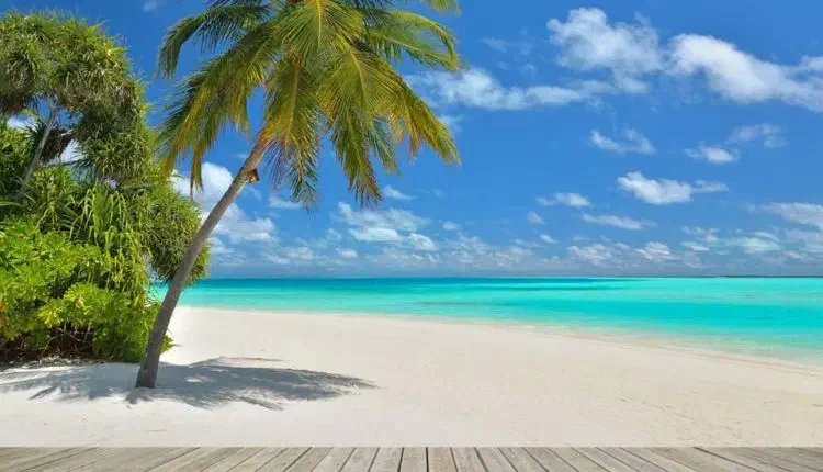 گشت جزیره و مراکز خرید قشم|تور و چارتر|قشم, |دیوار