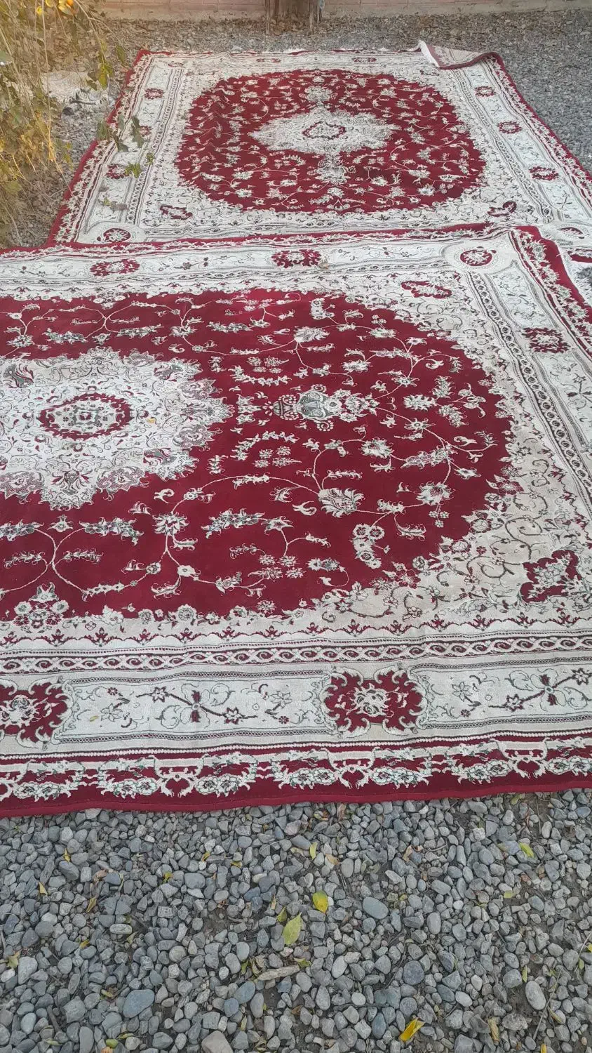 یک جفت فرش|فرش|پارسآباد, |دیوار