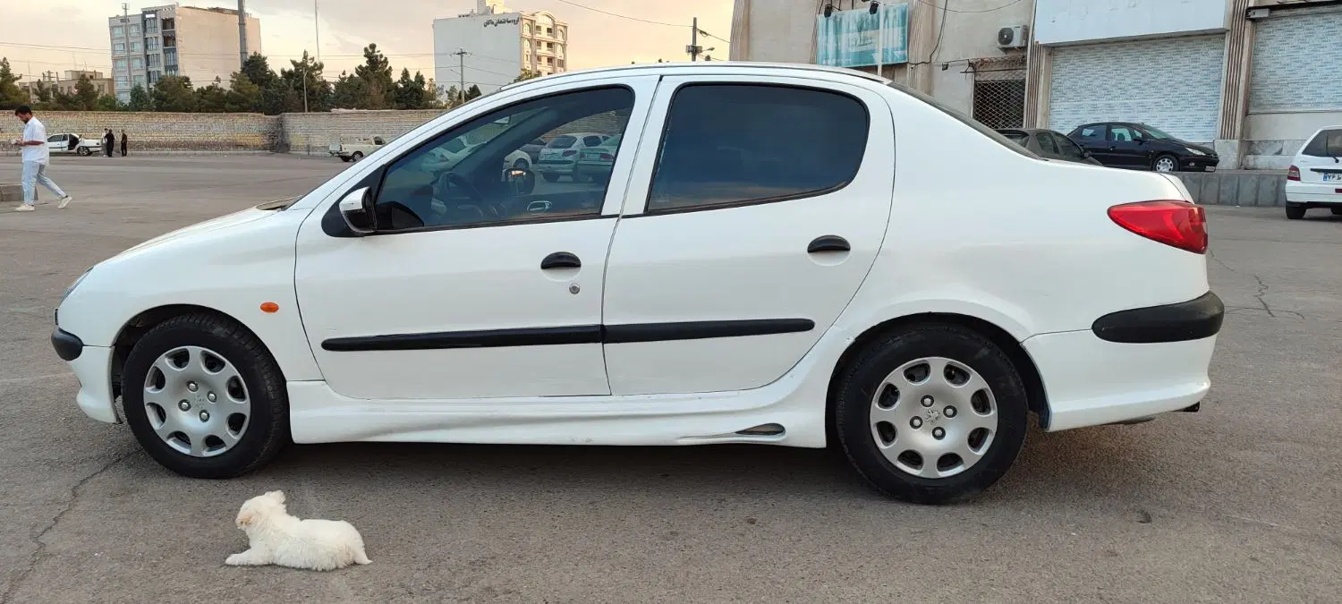 206 SD V8  مدل 92|خودرو سواری و وانت|مشهد, امامیه (شهرک غرب)|دیوار