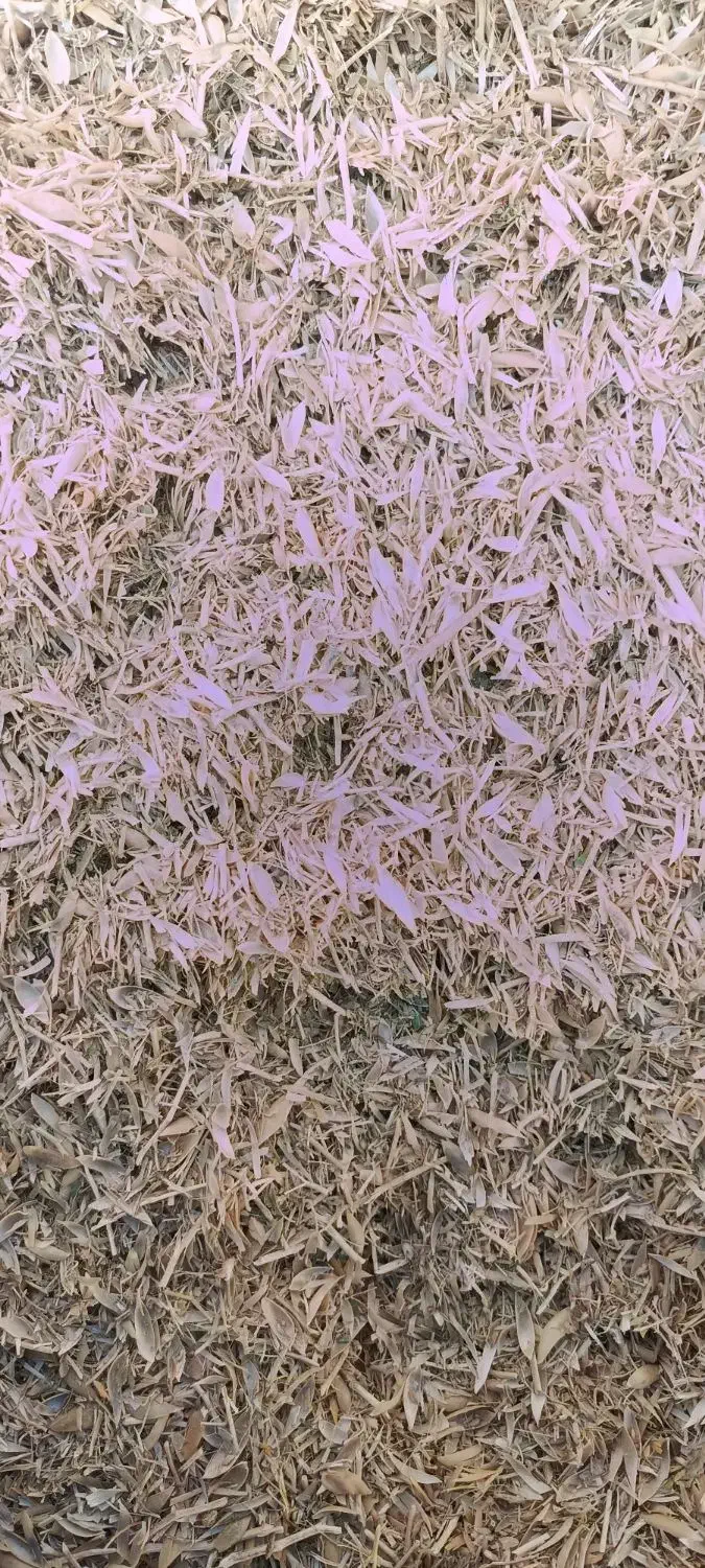 فروش کاه نخود|لوازم جانبی حیوانات|قیدار, |دیوار