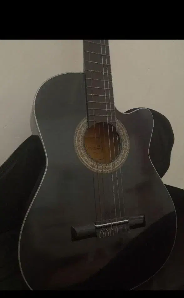 گیتار|گیتار، بیس، امپلیفایر|گرگان, |دیوار