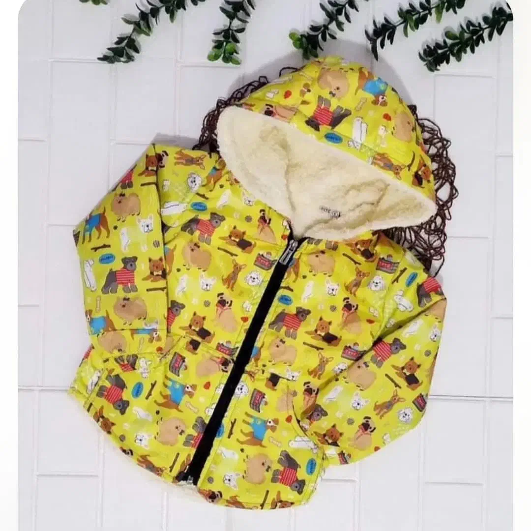 سوییشرت کاپشنی بچگانه|کفش و لباس بچه|خمینی‌شهر, |دیوار