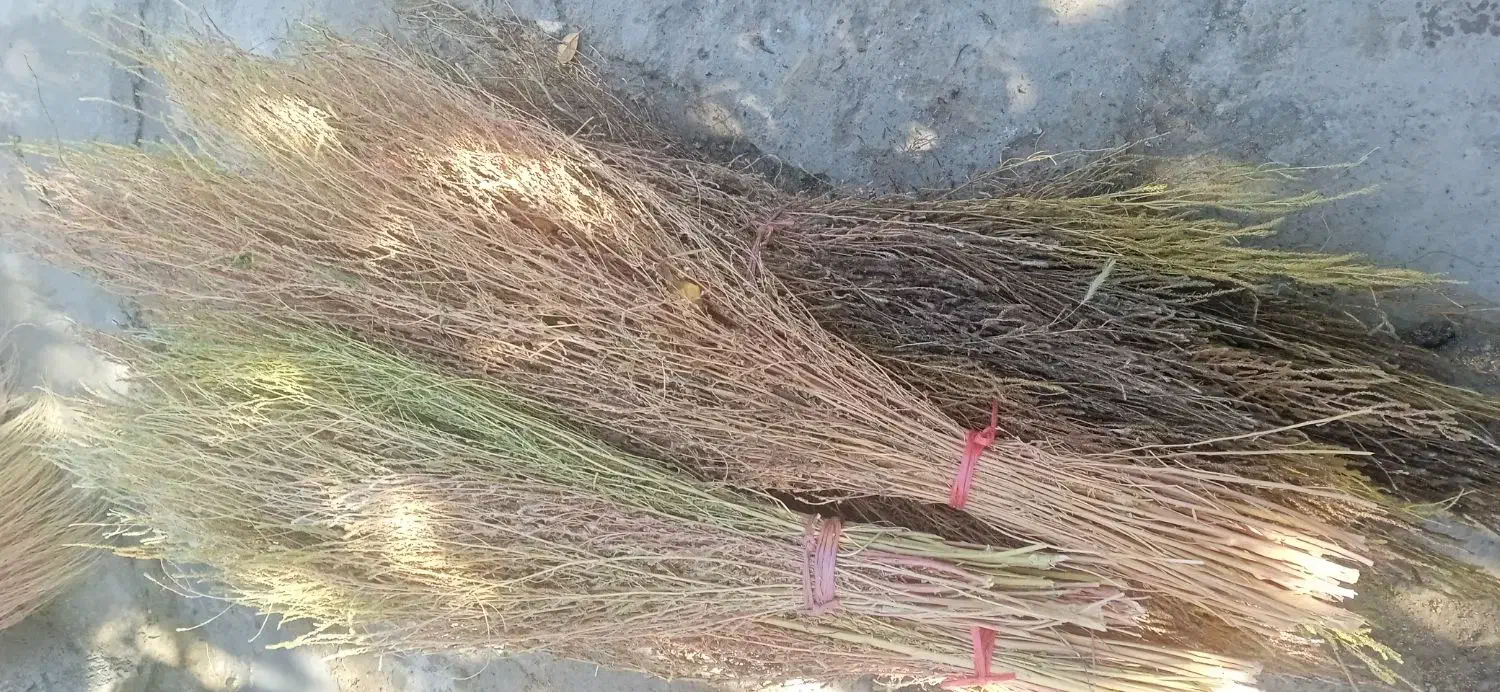 جارومحلی|لوازم نظافت|ملایر, |دیوار