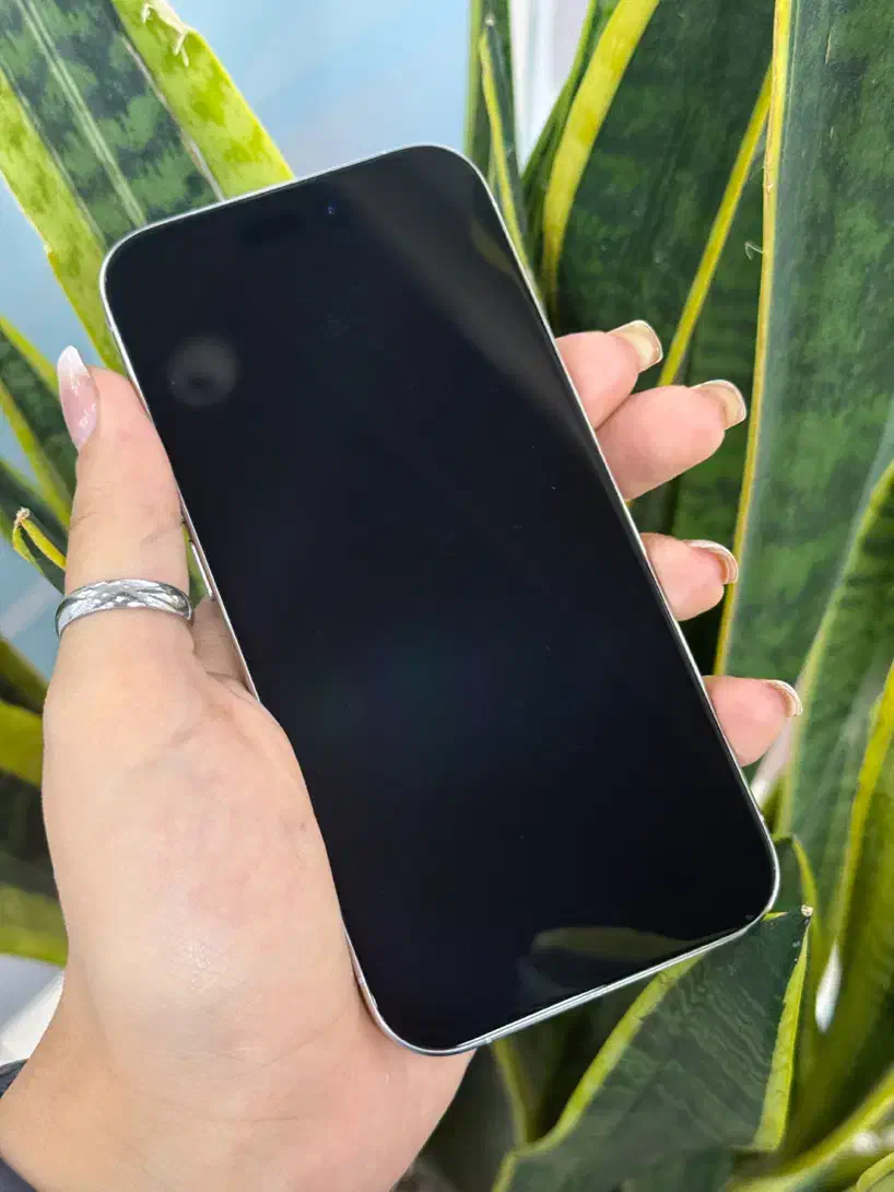 ۱۵پرو مرواریدی بدون خط|موبایل|اصفهان, مفتح|دیوار