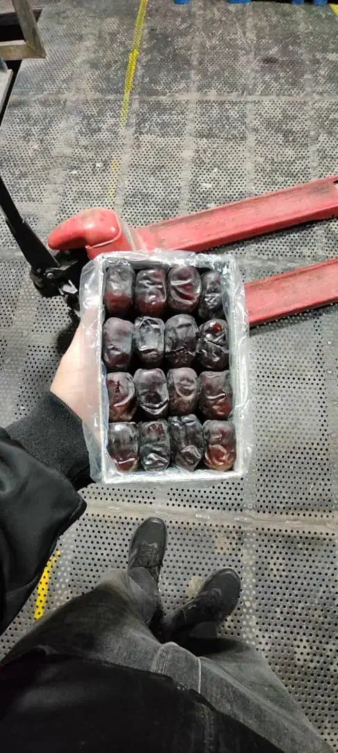 خرید و فروش خرمای مظافتی و کلوته و زاهدی|عمدهفروشی|تهران, میدان میوه و ترهبار مرکزی|دیوار