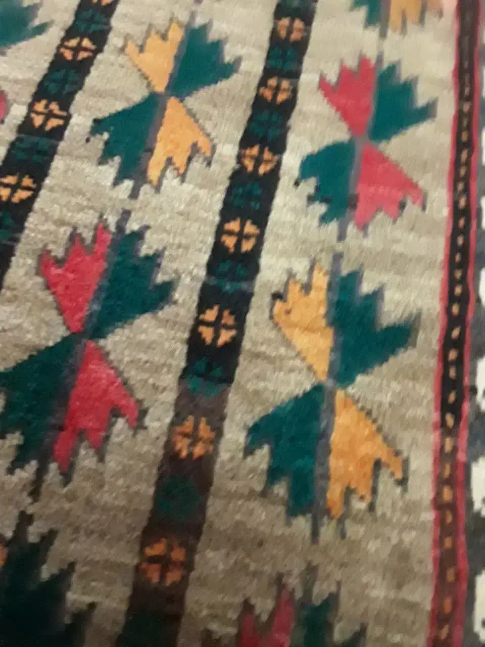 پادری زیبا گوشتدار شسته تمیز همدان|پادری|هشتگرد, شهرک گلخانه|دیوار