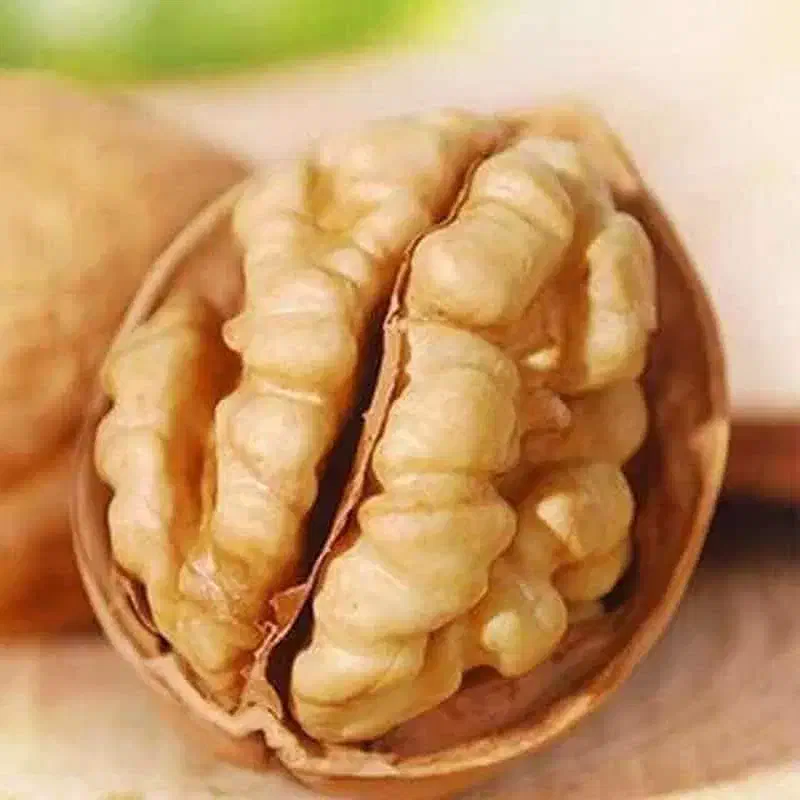 گردوی خارجی درجه یک|خوردنی و آشامیدنی|مشهد, ایثار|دیوار