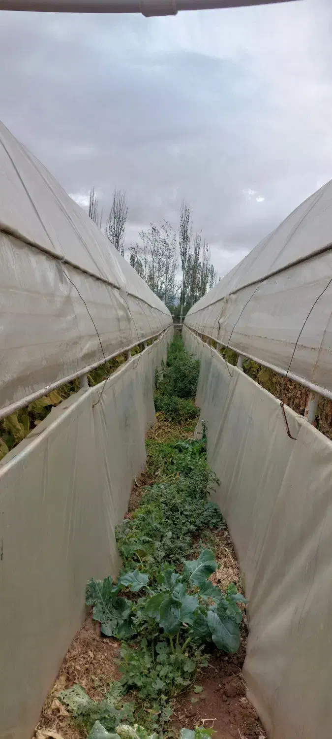 فروش سازه گلخانه|مصالح و تجهیزات ساختمان|یامچی, |دیوار