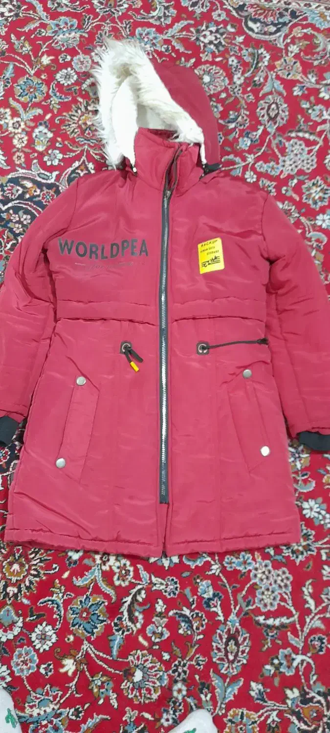 کاپشن دخترانه|لباس|رشت, گیل|دیوار