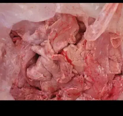 خوشگوشت گاوی|خوردنی و آشامیدنی|قم, شهید صیاد شیرازی|دیوار