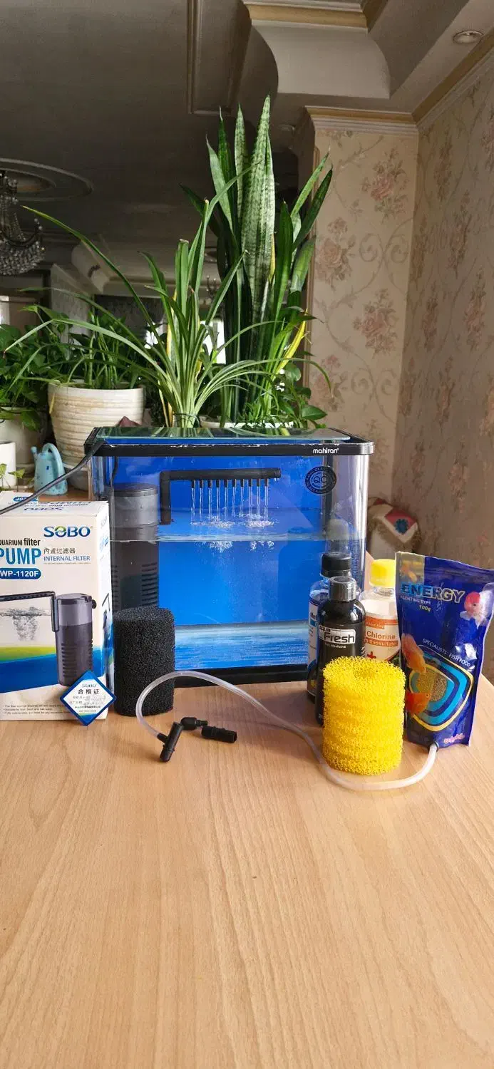 آکواریم و تصفیه و اکسیژن آب|ماهی|تهران, جیحون|دیوار