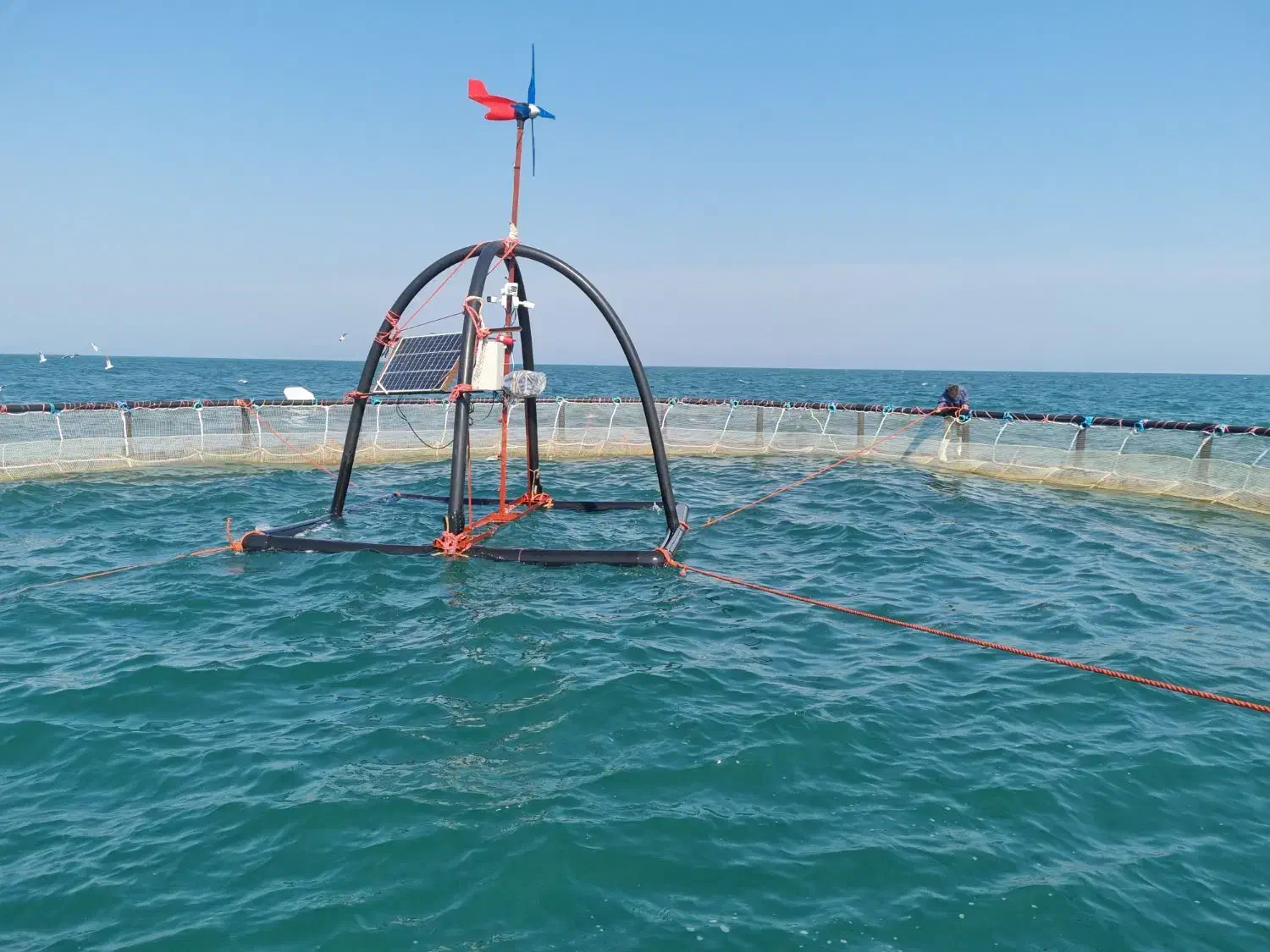 قفس پرورش ماهی دریای خزر|ماشینآلات صنعتی|تهران, حصار بوعلی|دیوار