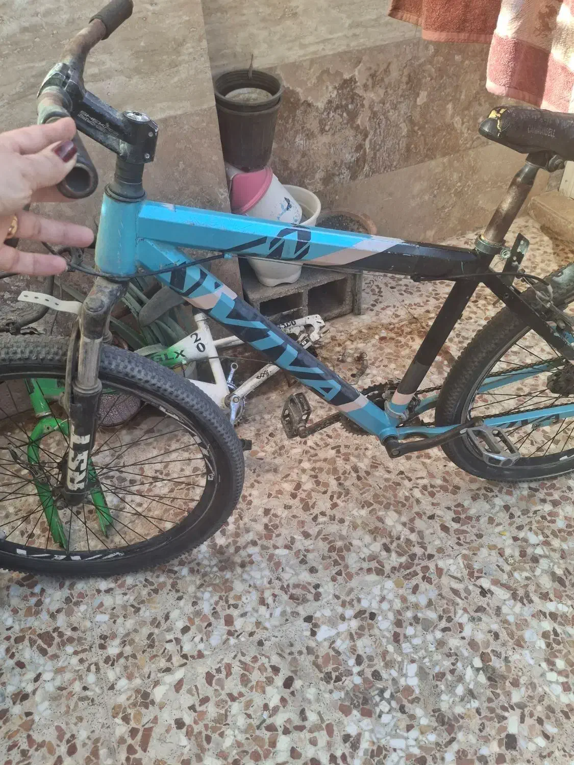 دوچرخه|دوچرخه، اسکیت، اسکوتر|شیراز, کوشک میدان|دیوار