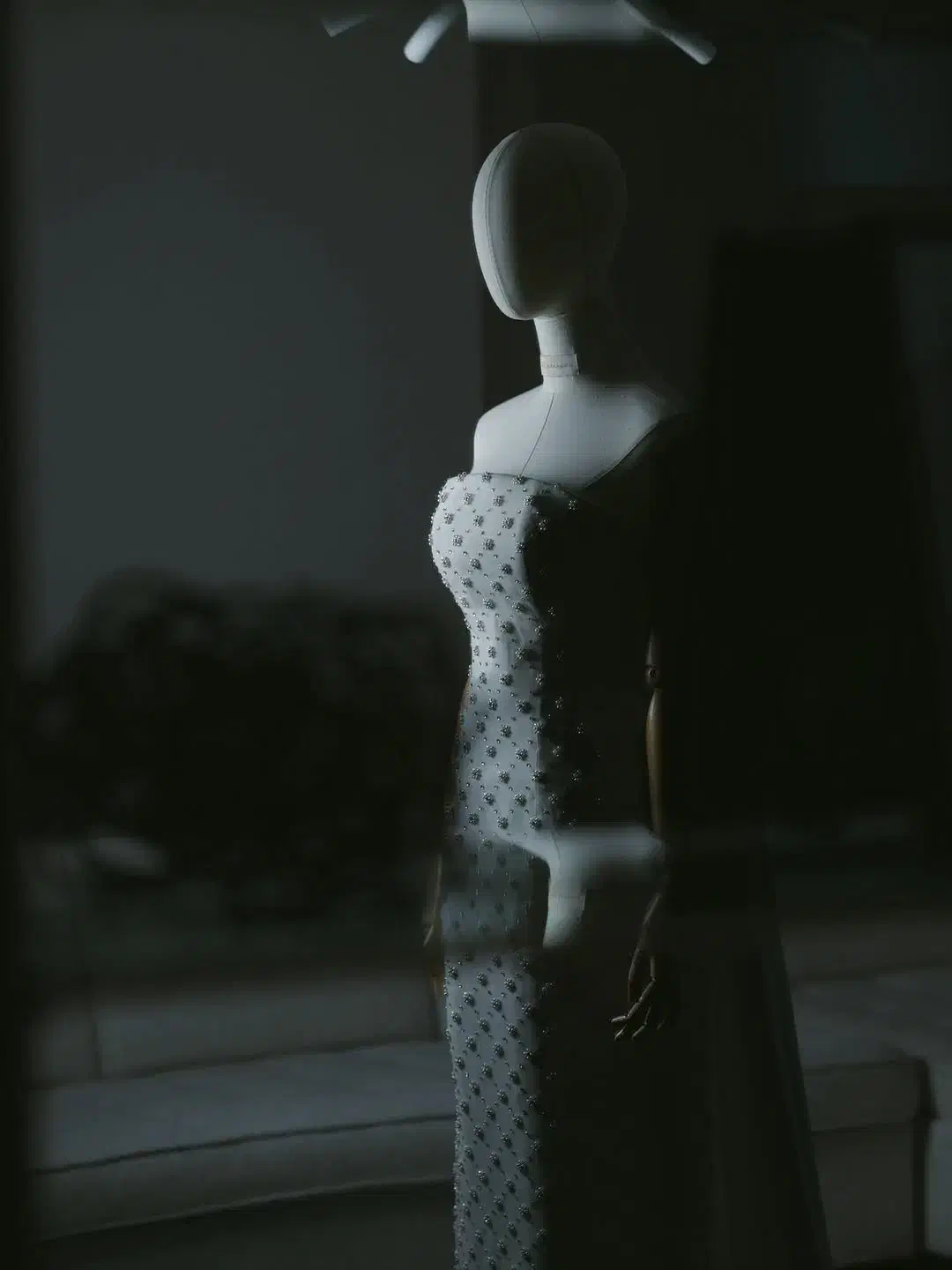 تشریفات|خدمات پذیرایی، مراسم|رشت, کاکتوس|دیوار