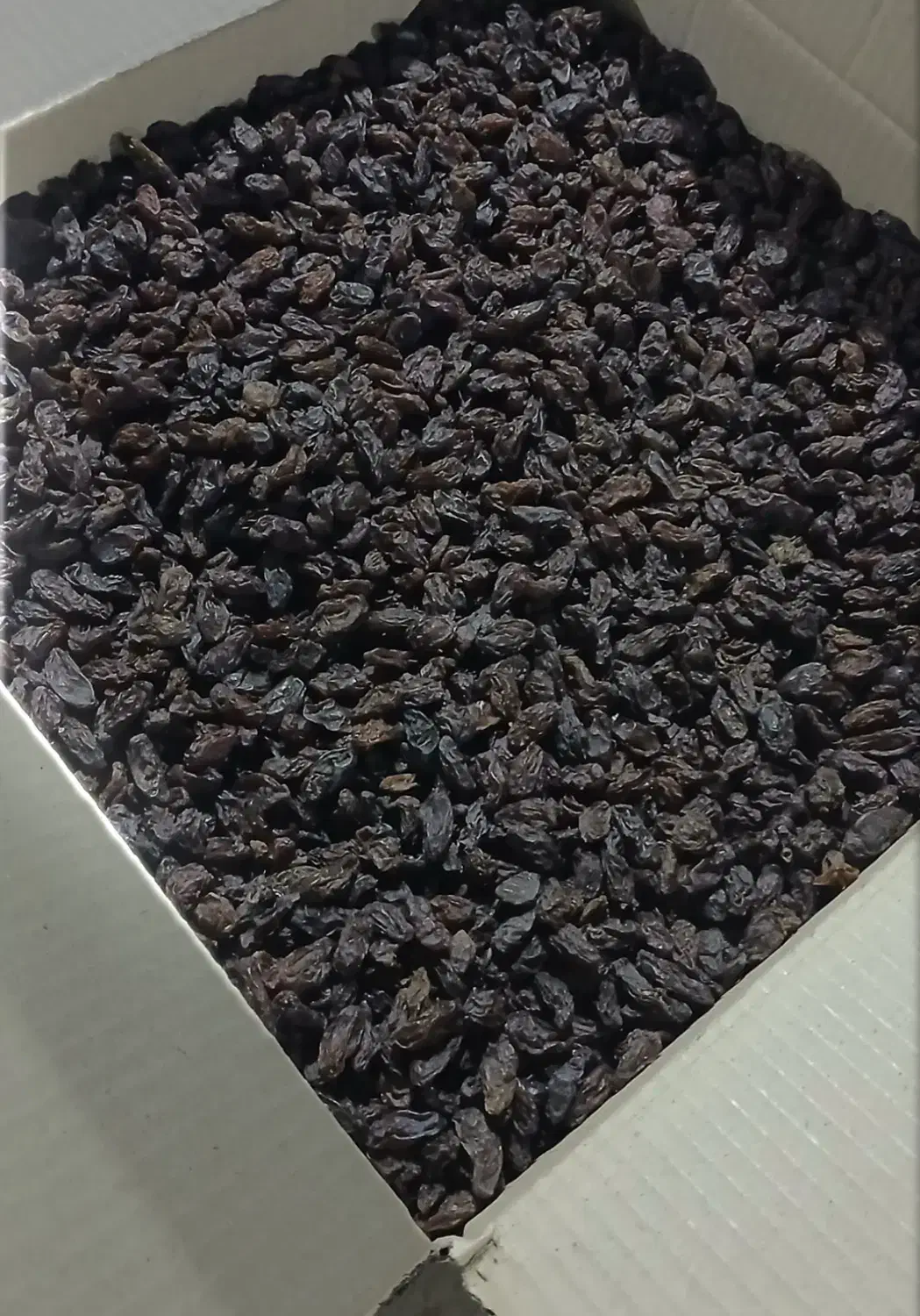 مویز فخری سوپر|خوردنی و آشامیدنی|شیراز, شهرک گلستان|دیوار