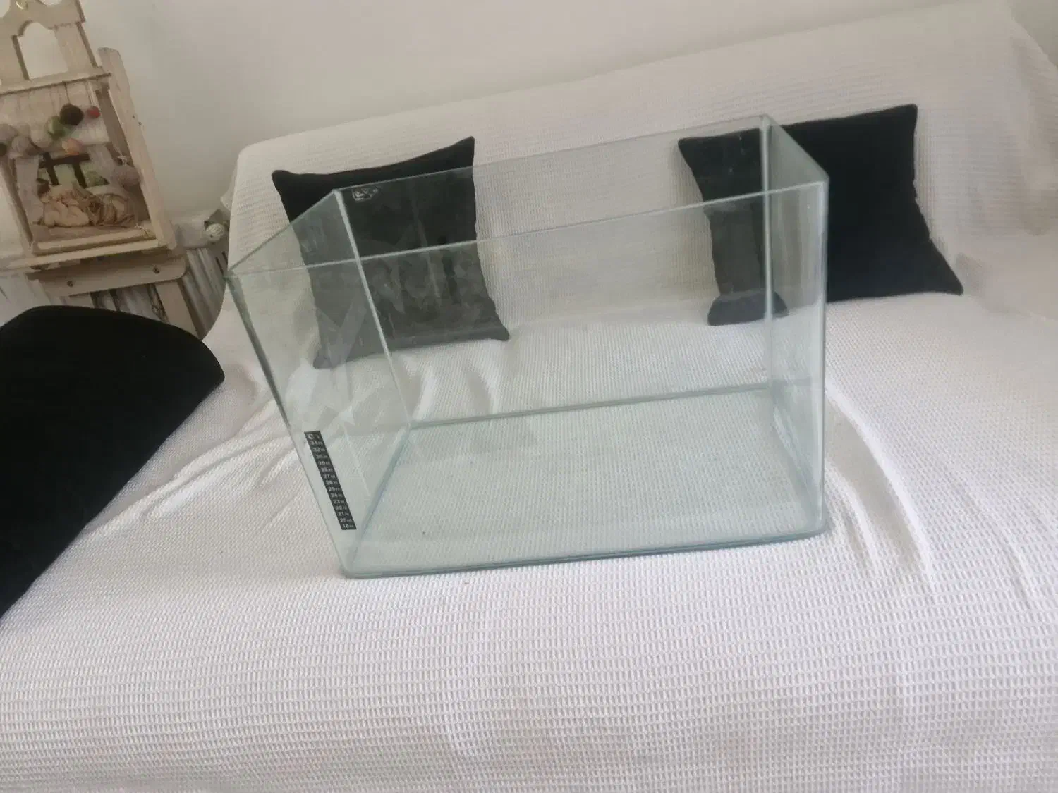 اکواریوم|ماهی|کرج, شهرک فهمیده|دیوار