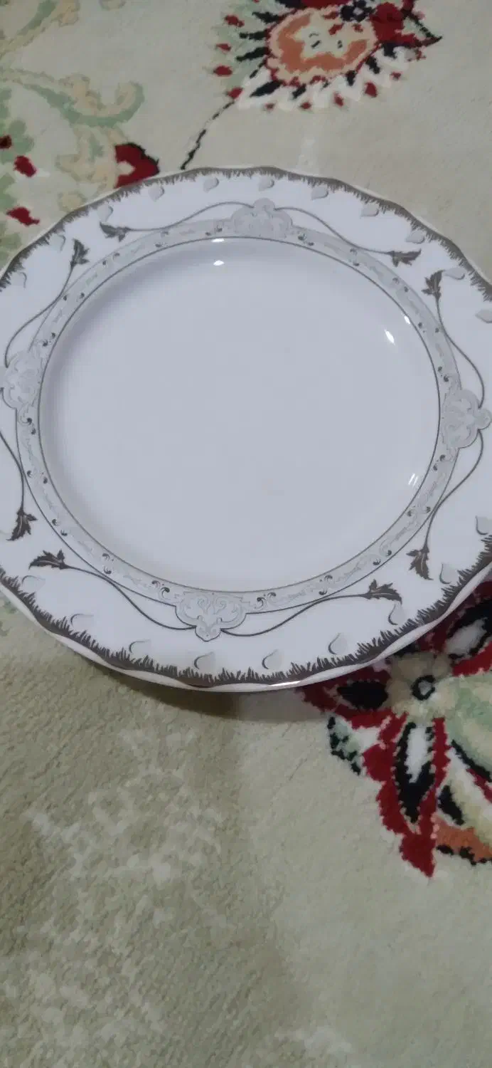 سرویس چینی|ظروف سرو و پذیرایی|سامن, |دیوار