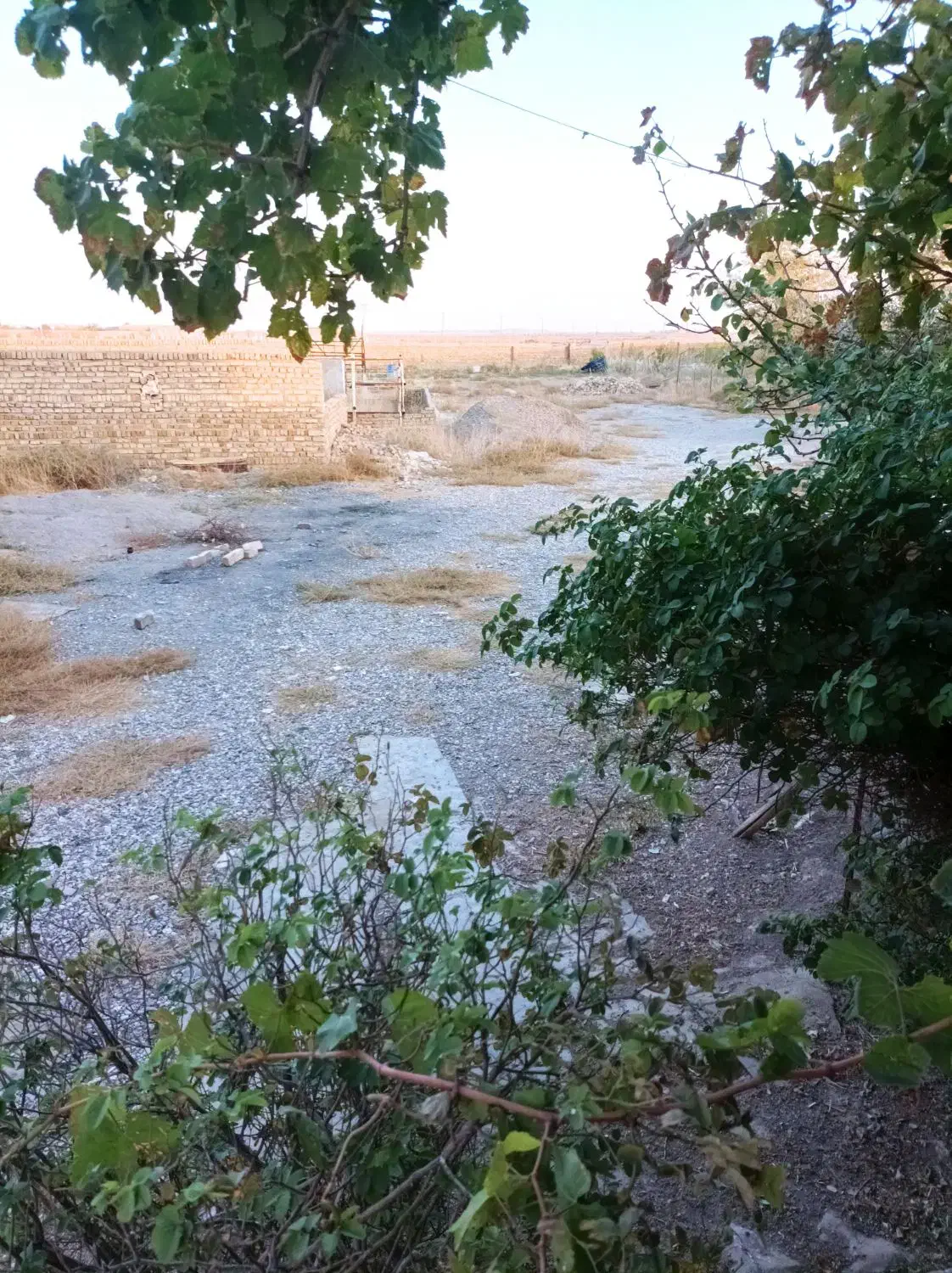 املاک دامداری 49راسی 5000متر|فروش دفتر صنعتی، کشاورزی، تجاری|دشتابی, |دیوار