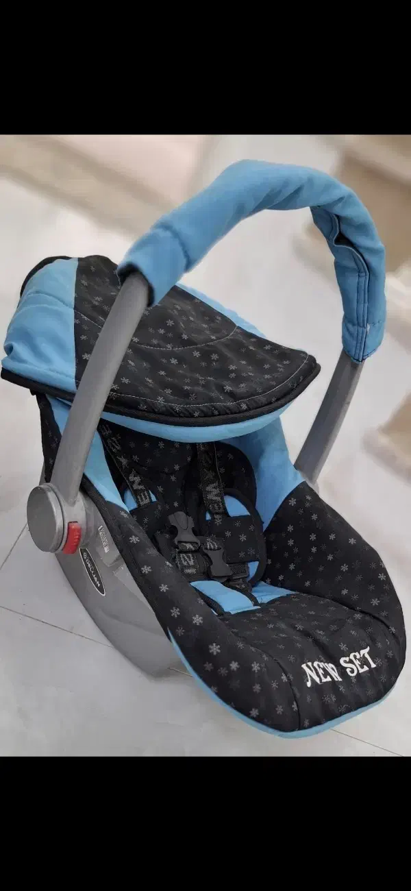 کریر دلیجان|کالسکه و لوازم جانبی|کاشان, آیت الله سعیدی|دیوار