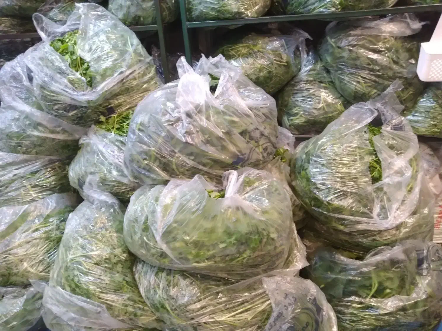 سبزی خردکنی|استخدام خدمات فروشگاه و رستوران|اصفهان, لاله|دیوار