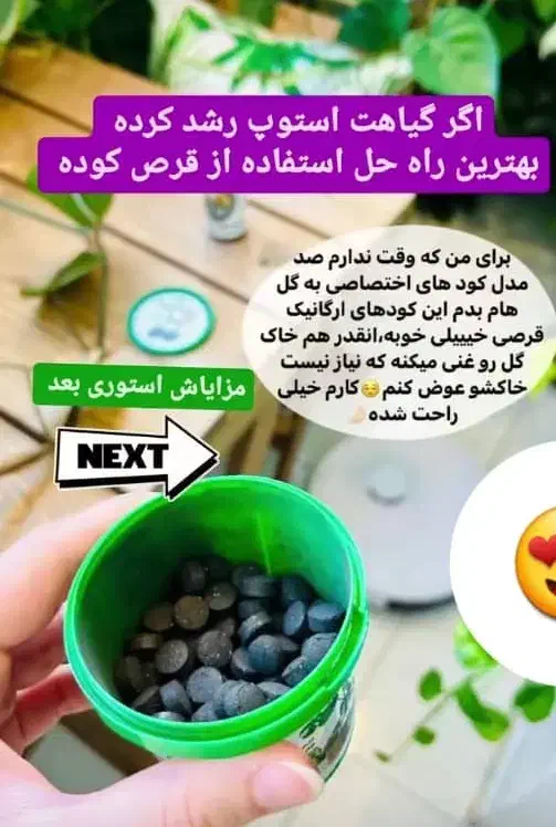 قرص کود ارگانیک ۱۲۰ عددی بیز|گل و گیاه طبیعی|خوی, |دیوار