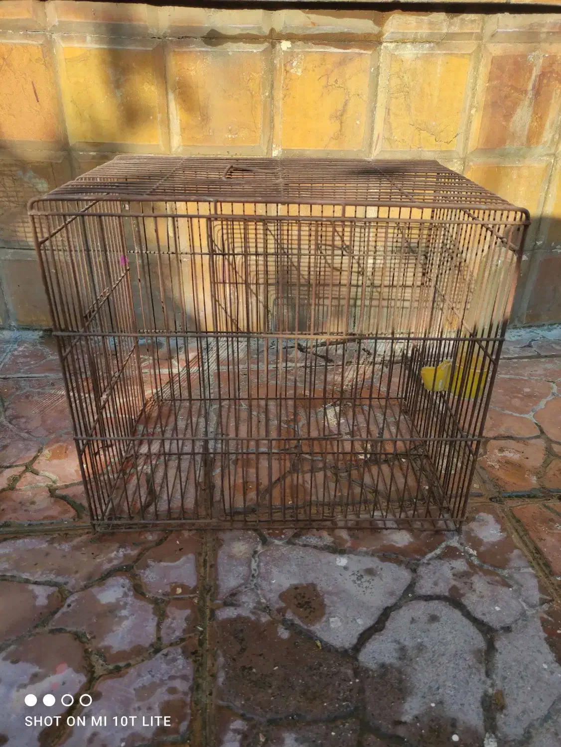 قفس قناری و مرغ عشق|لوازم جانبی حیوانات|فریدون‌کنار, |دیوار