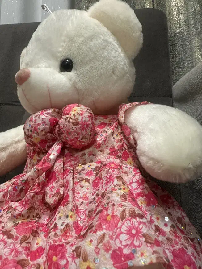 عروسک خرس|اسباب‌بازی بچه|بندر انزلی, انقلاب|دیوار