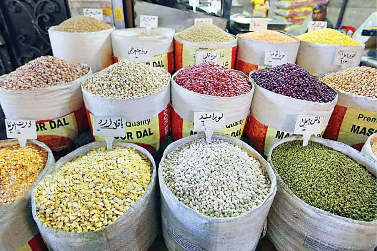 لوبیاچیتی۲۲۰خرما۱۶۰رشته۵۵ پاکستانی۱۲۰۰رب گوجه۵۵|حراج|کرمانشاه, |دیوار