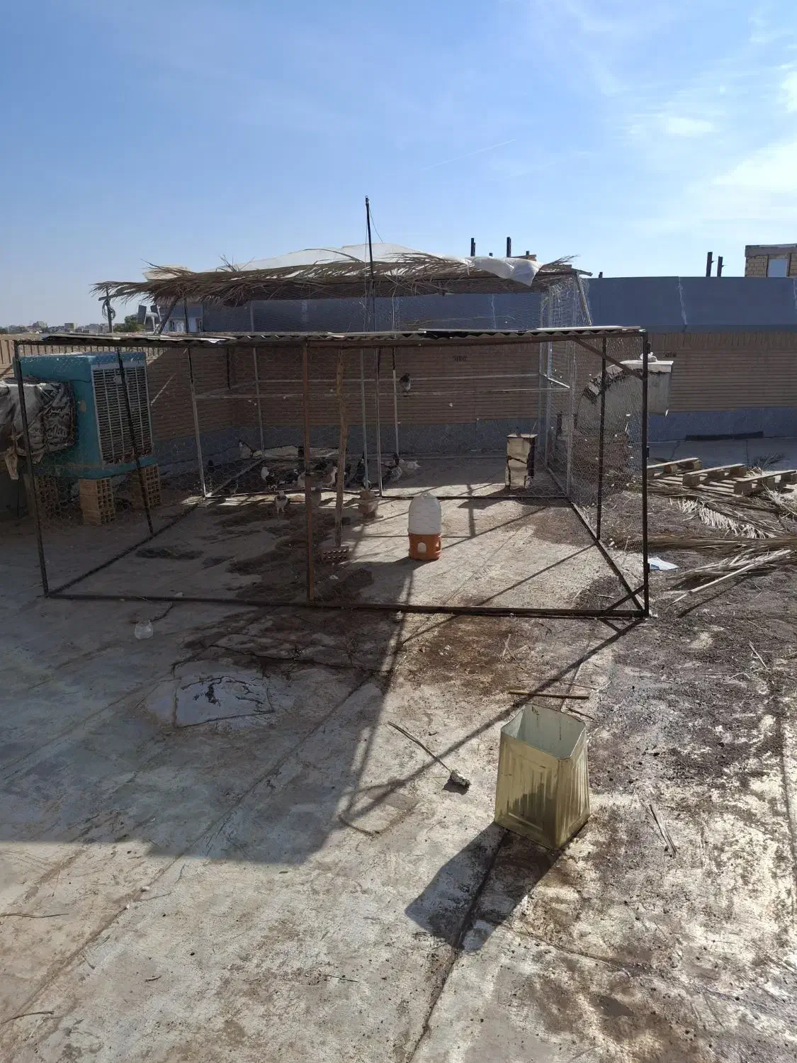 با سلام تور دام وقفس پرنده پنج در شش  بزرگ|لوازم جانبی حیوانات|رفسنجان, |دیوار