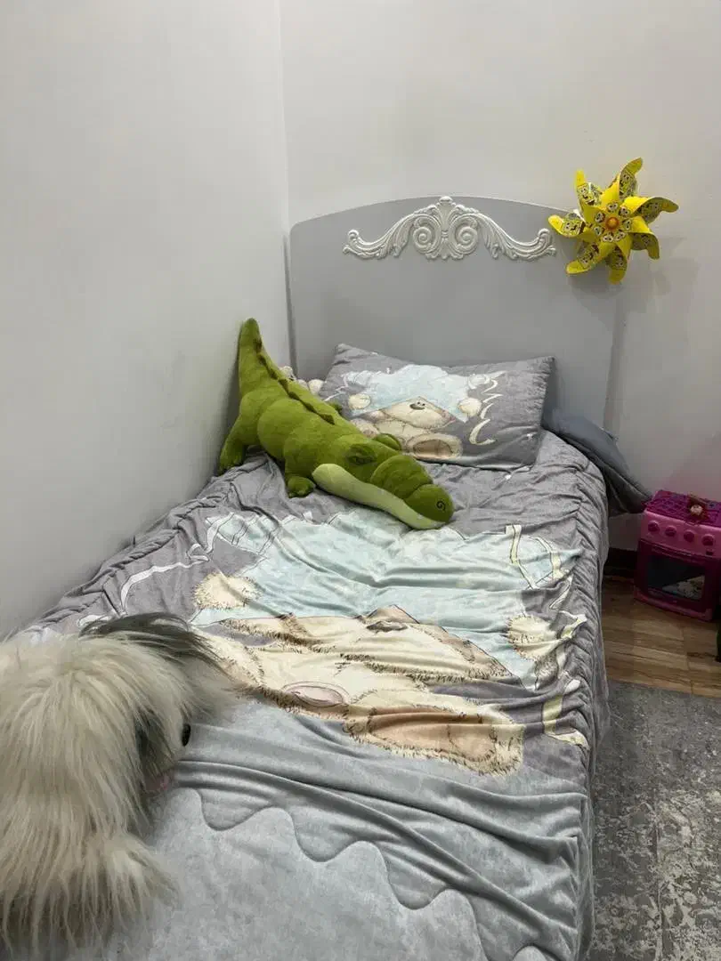 فروش سرویس خواب کودک و نوجوان|تخت و سرویس خواب|کرمان, |دیوار