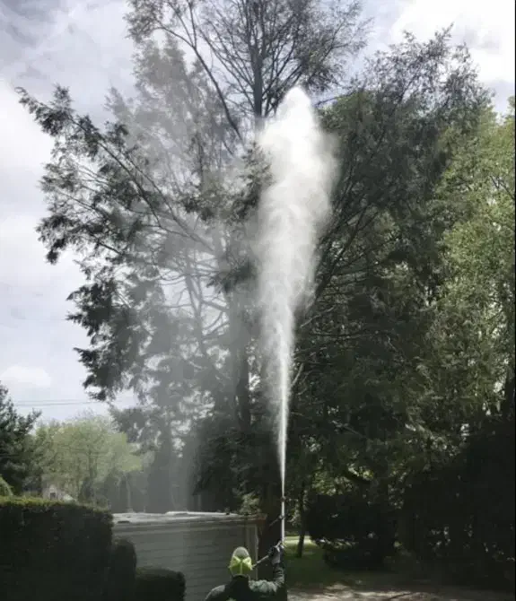 سم‌پاشی  و هرس اصولی درختان / خدمات کامل باغداری|خدمات باغبانی و درختکاری|محمدشهر, زیبادشت|دیوار