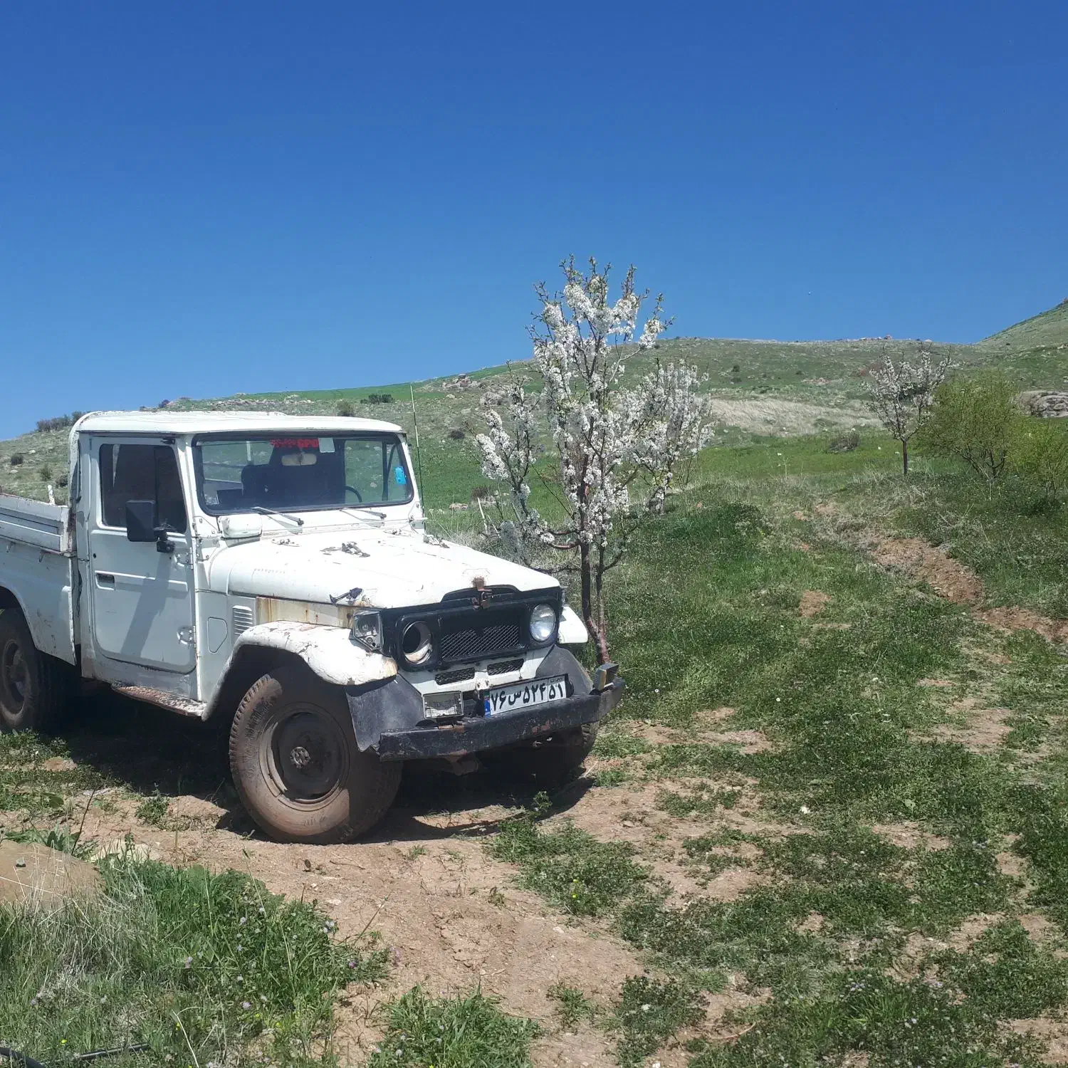 تویوتا دو اف|خودرو کلاسیک|فشاپویه, |دیوار