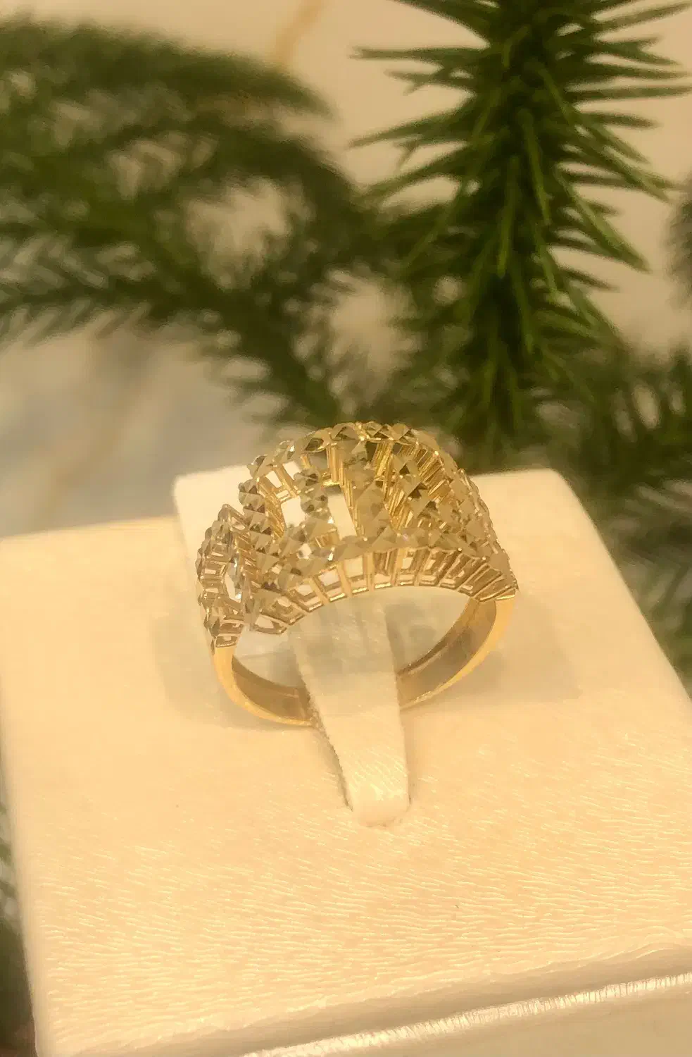 انگشتر شیک|جواهرات|شیراز, گود عربان|دیوار