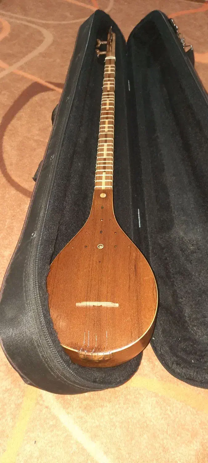 سه تار گودرزی|سازهای سنتی|شیراز, ارم|دیوار