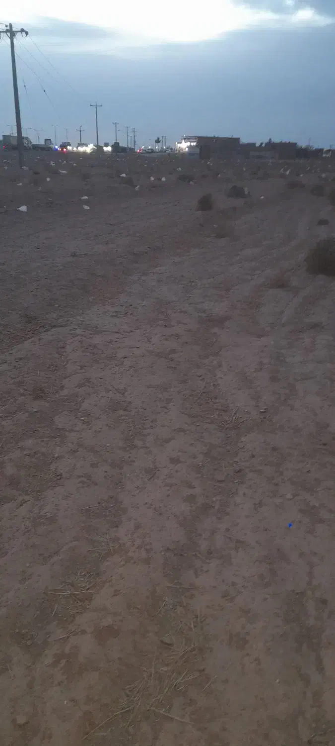 زمین معاوضه با خودرو بالا بودشو پول نقد میدم|فروش زمین و ملک کلنگی|تربت‌حیدریه, رجایی|دیوار