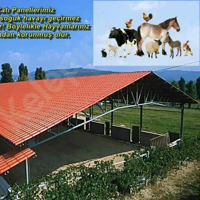 دام طیور از تولید تا اجرا ورقهای شیروانی پی وی سی|مصالح و تجهیزات ساختمان|مشهد, چاهشک|دیوار