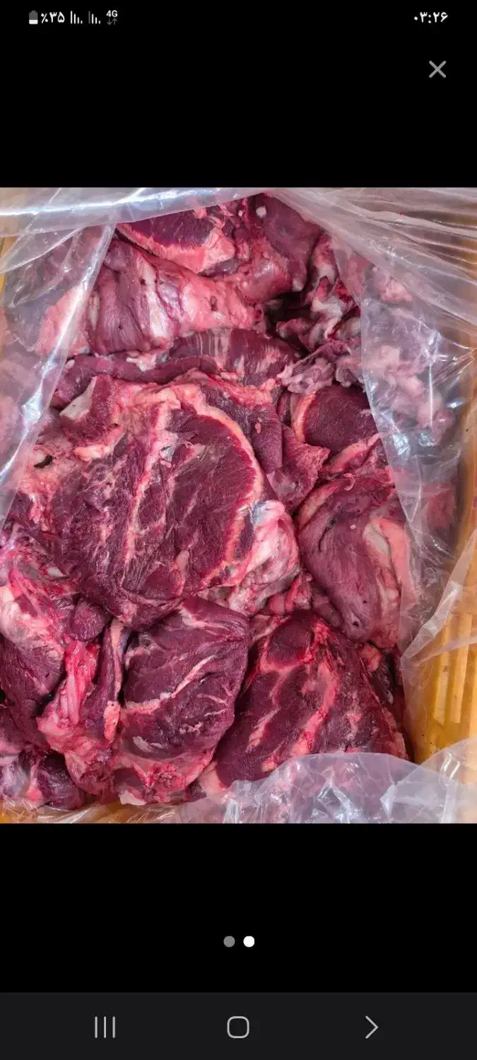 گوشت کله گوساله|خوردنی و آشامیدنی|تهران, آرژانتین|دیوار