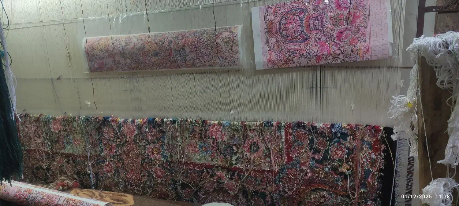 فرش نیمه کاره سالاری ۴۰رج|فرش|آذرشهر, |دیوار