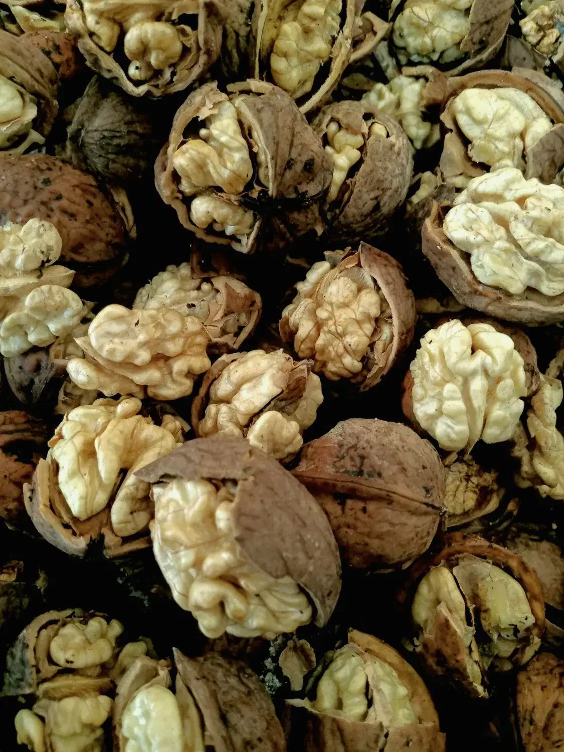 قیمت ۴۰۰|حراج|تبریز, |دیوار