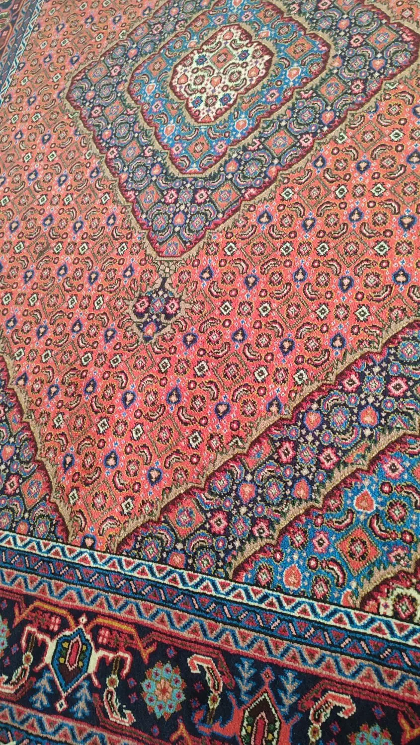 فروش فرش|فرش|مشگین شهر, |دیوار