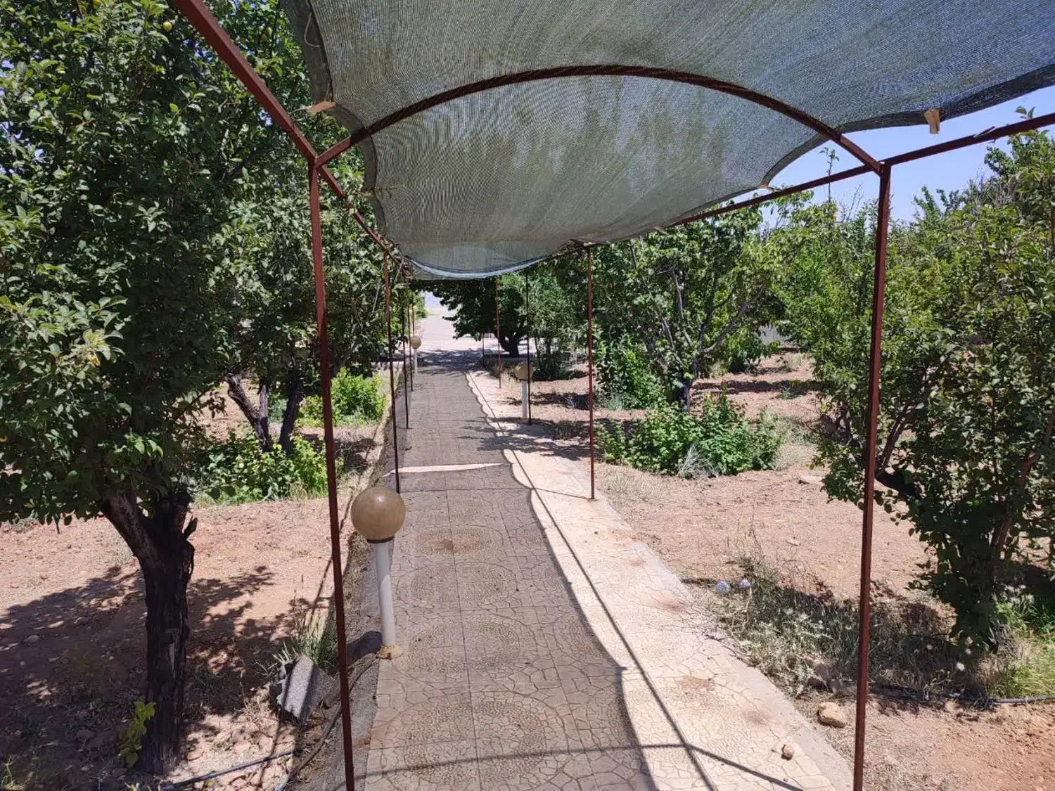 باغ|فروش دفتر صنعتی، کشاورزی، تجاری|مبارکه, |دیوار