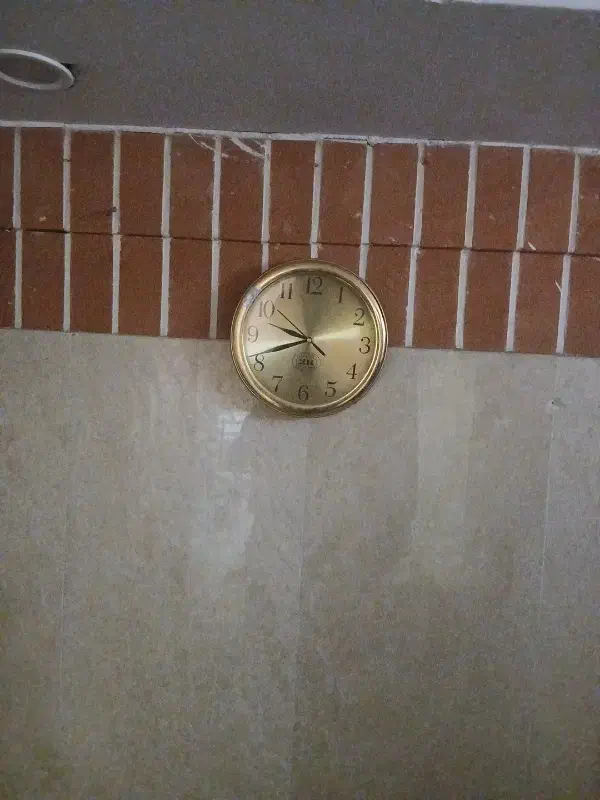 پارتنر|فعالیت داوطلبانه|تهران, نجات اللهی|دیوار