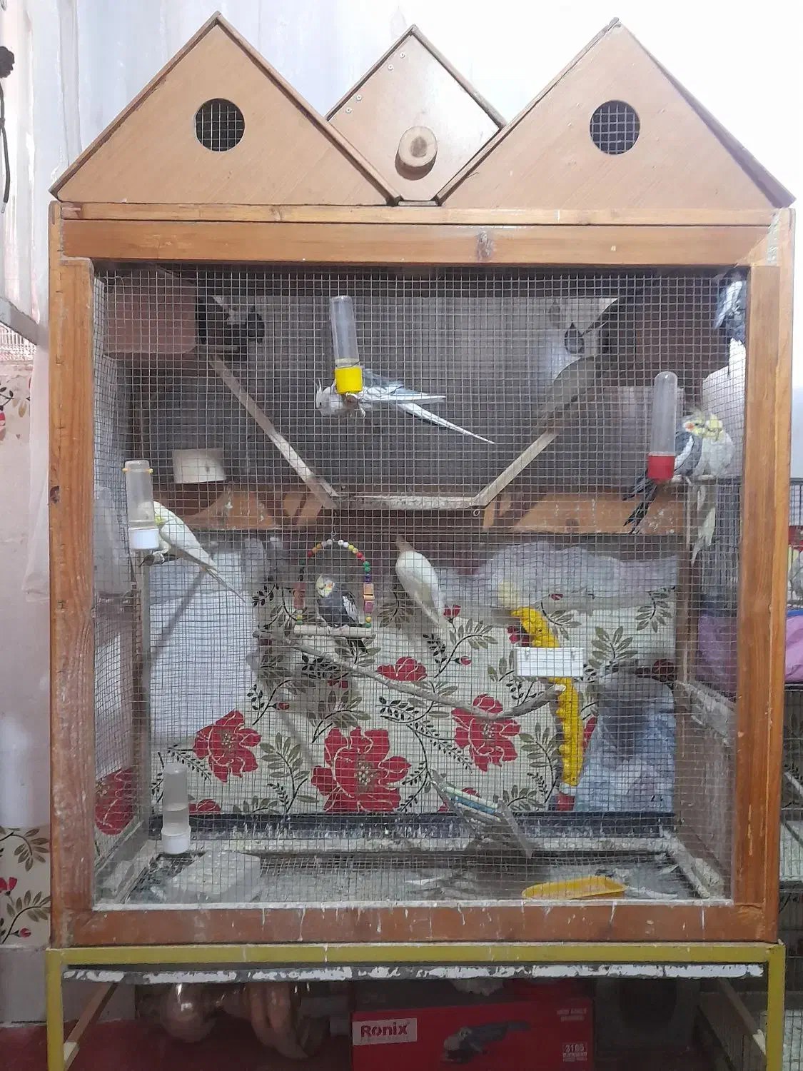 قفس چوبی|لوازم جانبی حیوانات|قم, ولیعصر|دیوار