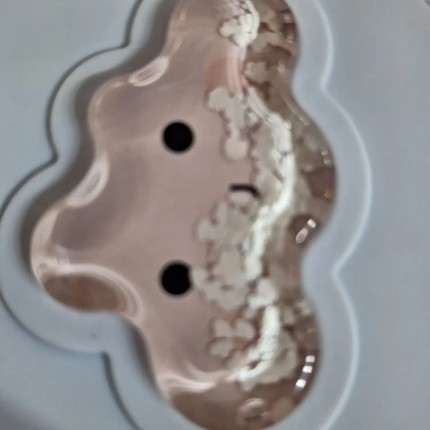 پیدا شده|پرنده|زید آباد, |دیوار