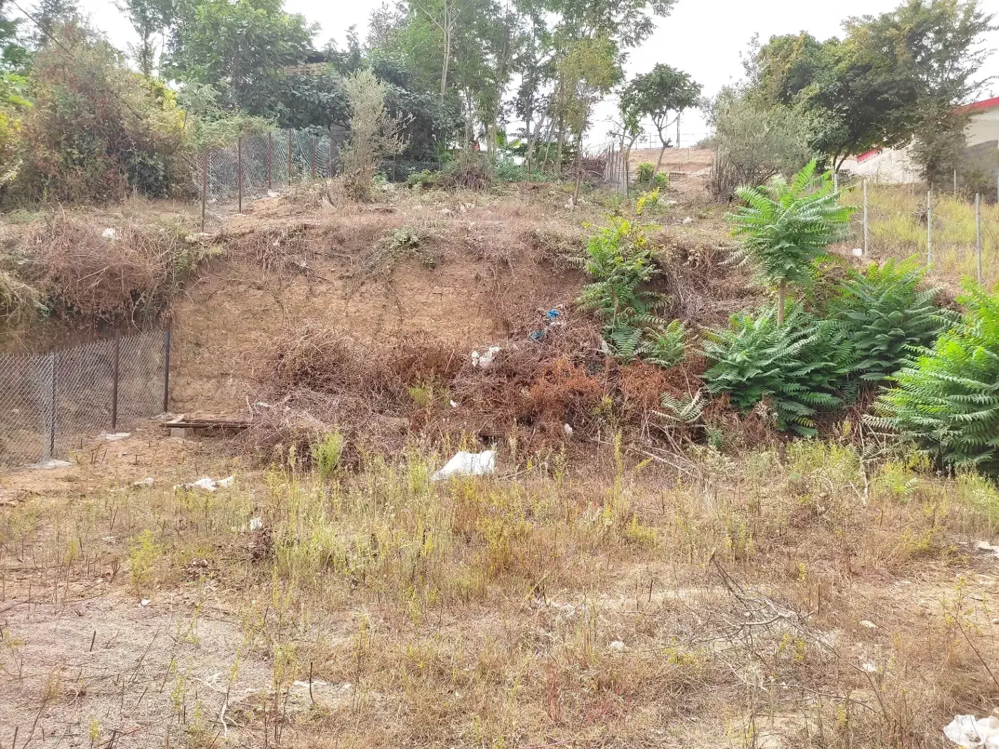 زمین مسکونی داخل بافت به متراژ 590 متر رستم آباد|فروش زمین و ملک کلنگی|رستمآباد, |دیوار