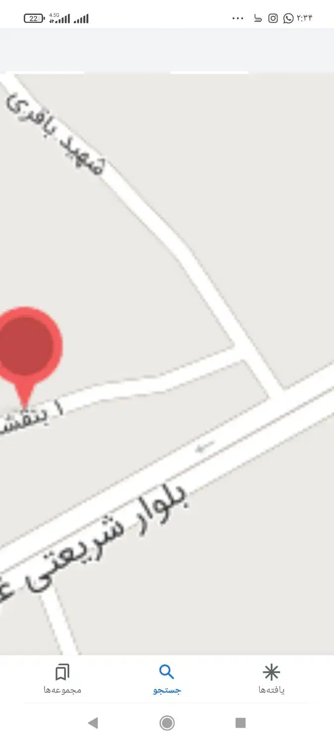 یک سگ خونگی در محدوده بنفشه پیدا شده|حیوانات|رفسنجان, |دیوار