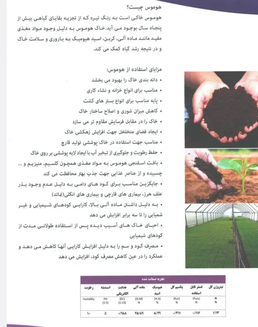 خاک بلک پیت|گل و گیاه طبیعی|کرمانشاه, |دیوار