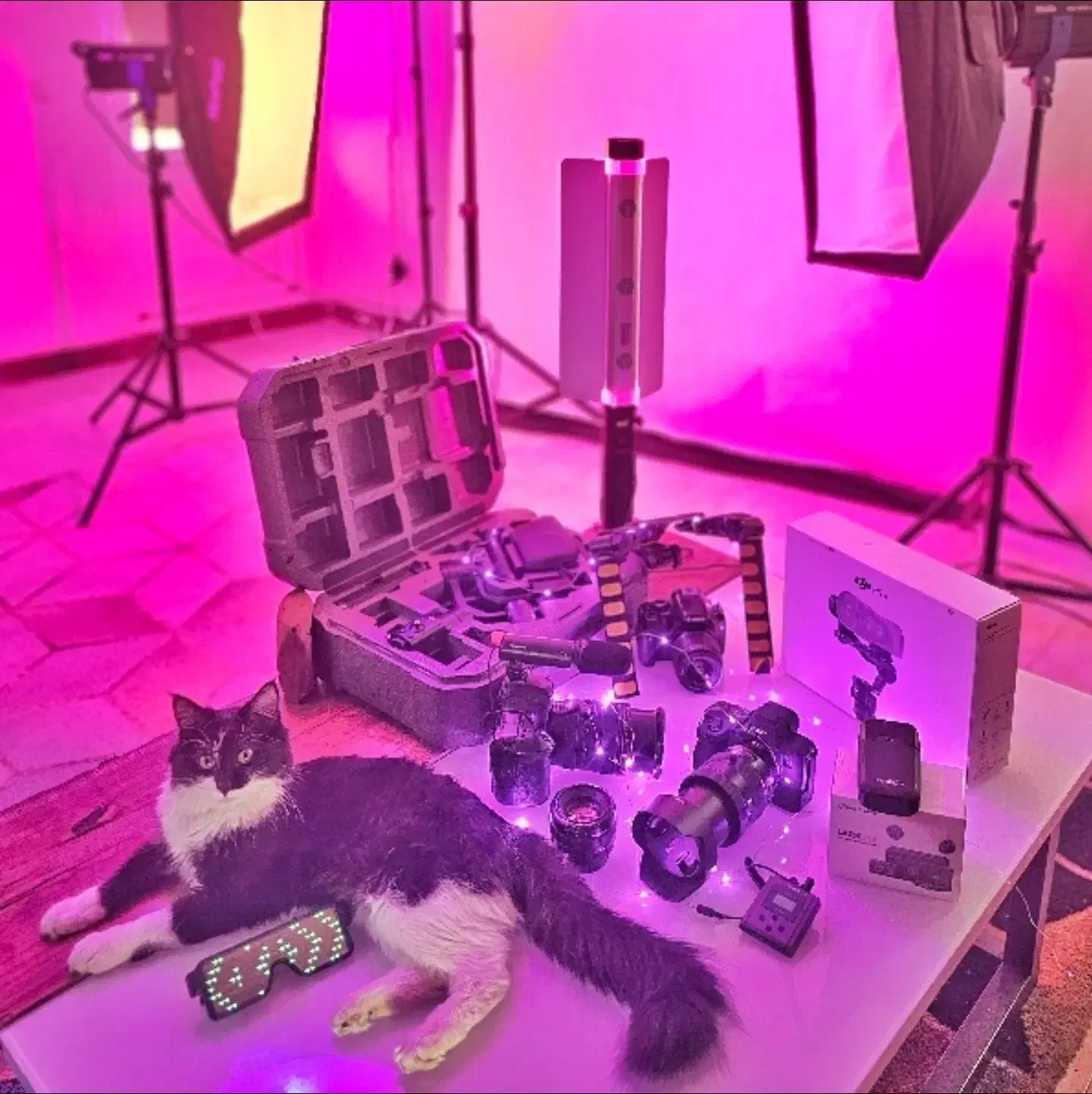 فروش و اجاره تجهیزات دوربین عکاسی و فیلمبردار|دوربین عکاسی و فیلم‌برداری|همدان, |دیوار