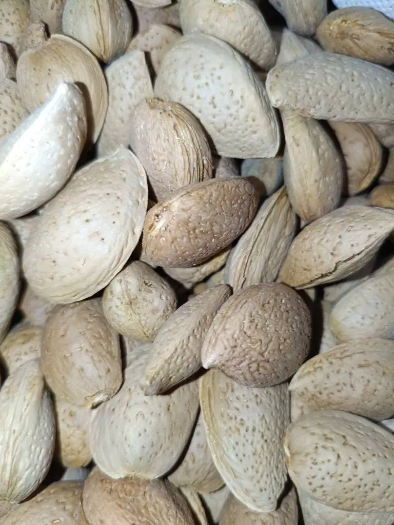 بادام سنگی درجه یک (بادوم محلی )|خوردنی و آشامیدنی|تهران, مسعودیه|دیوار