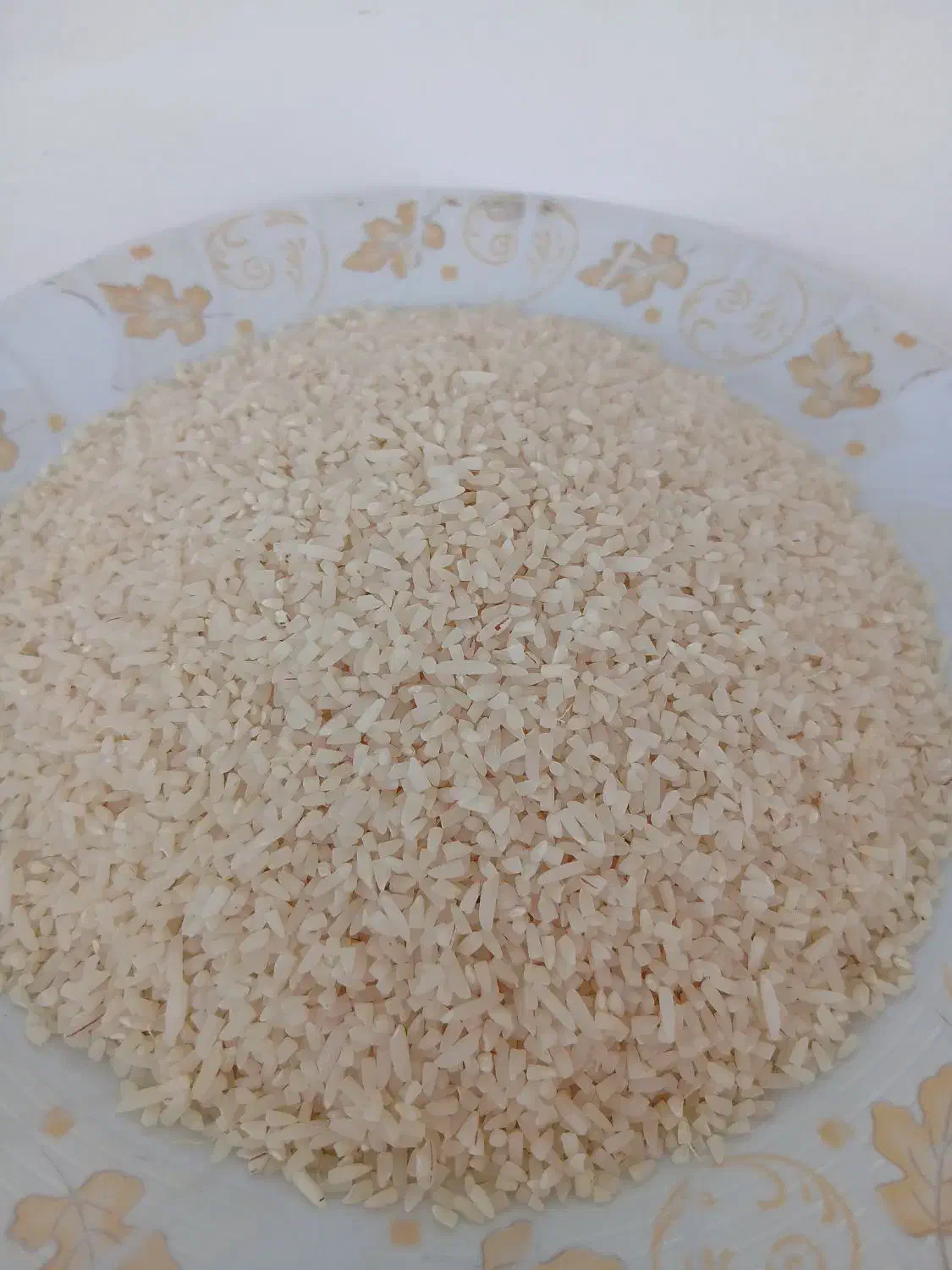 لاشه هاشمی|خوردنی و آشامیدنی|آستارا, |دیوار